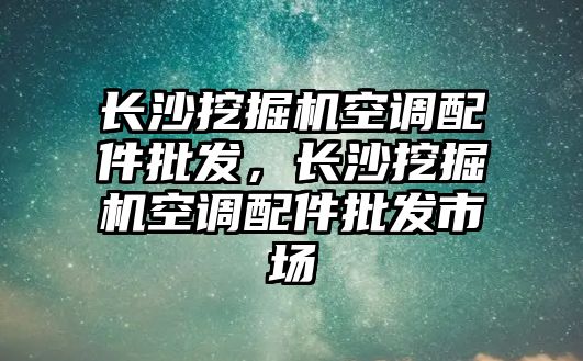 長沙挖掘機空調(diào)配件批發(fā)，長沙挖掘機空調(diào)配件批發(fā)市場