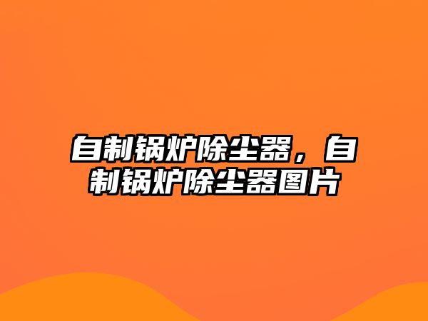 自制鍋爐除塵器，自制鍋爐除塵器圖片