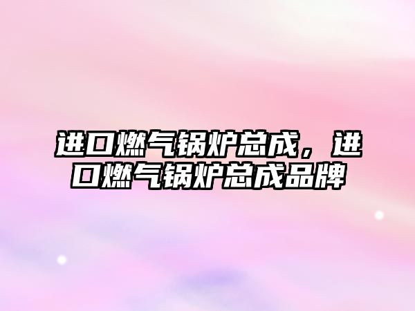 進口燃氣鍋爐總成，進口燃氣鍋爐總成品牌