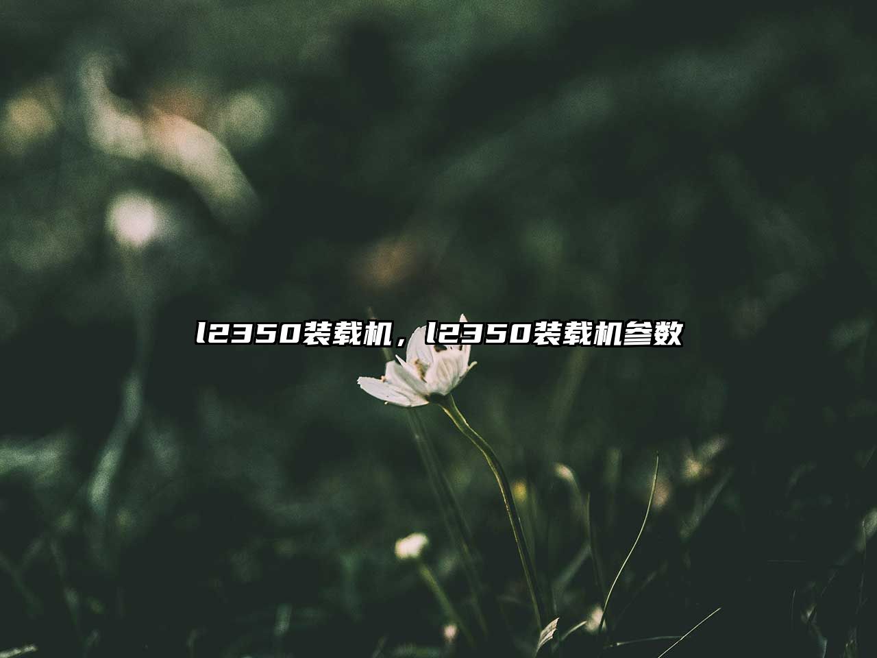 l2350裝載機，l2350裝載機參數(shù)