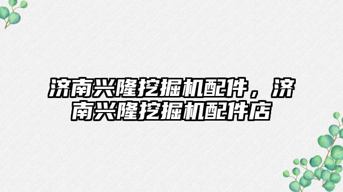 濟(jì)南興隆挖掘機(jī)配件，濟(jì)南興隆挖掘機(jī)配件店