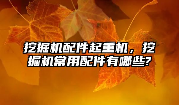 挖掘機(jī)配件起重機(jī)，挖掘機(jī)常用配件有哪些?