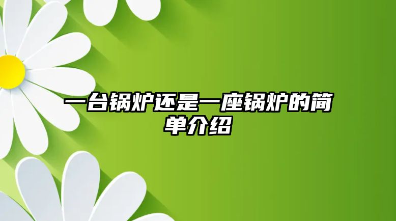 一臺(tái)鍋爐還是一座鍋爐的簡單介紹