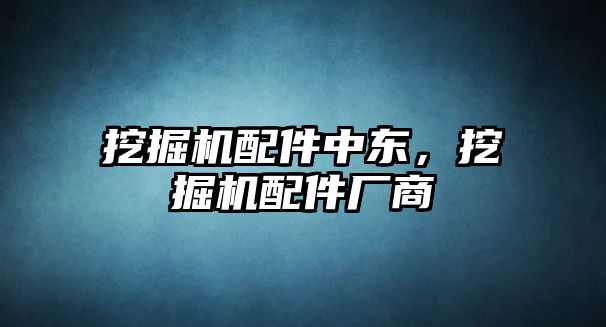 挖掘機(jī)配件中東，挖掘機(jī)配件廠商