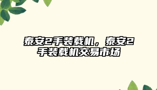 泰安2手裝載機(jī)，泰安2手裝載機(jī)交易市場