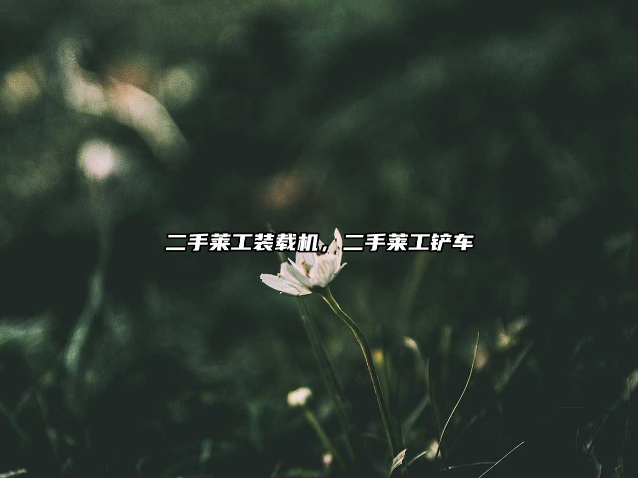 二手萊工裝載機，二手萊工鏟車