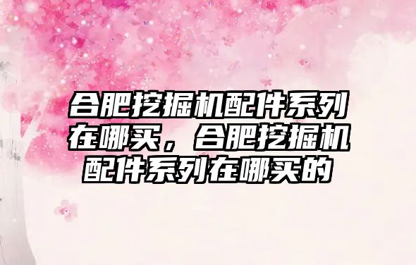 合肥挖掘機(jī)配件系列在哪買(mǎi)，合肥挖掘機(jī)配件系列在哪買(mǎi)的