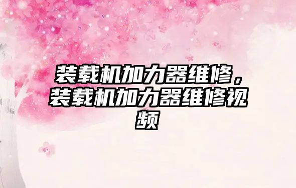 裝載機加力器維修，裝載機加力器維修視頻