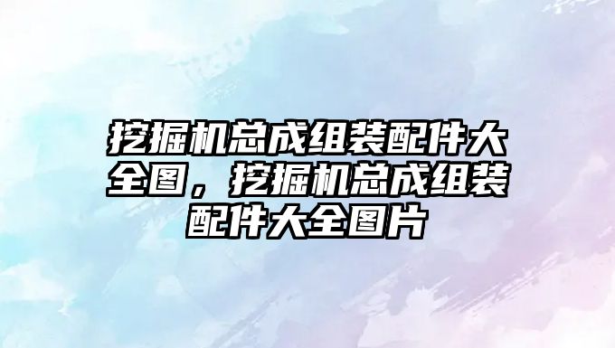 挖掘機總成組裝配件大全圖，挖掘機總成組裝配件大全圖片