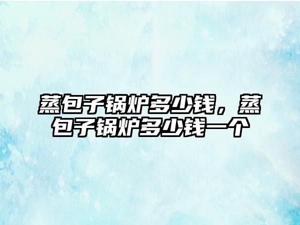 蒸包子鍋爐多少錢，蒸包子鍋爐多少錢一個