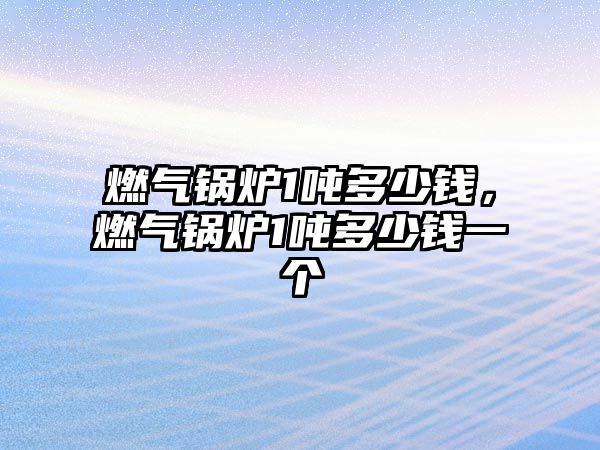 燃?xì)忮仩t1噸多少錢，燃?xì)忮仩t1噸多少錢一個(gè)