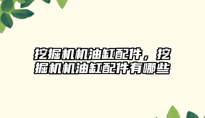 挖掘機(jī)機(jī)油缸配件，挖掘機(jī)機(jī)油缸配件有哪些
