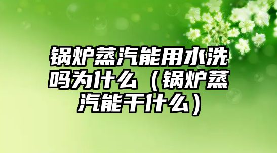 鍋爐蒸汽能用水洗嗎為什么（鍋爐蒸汽能干什么）