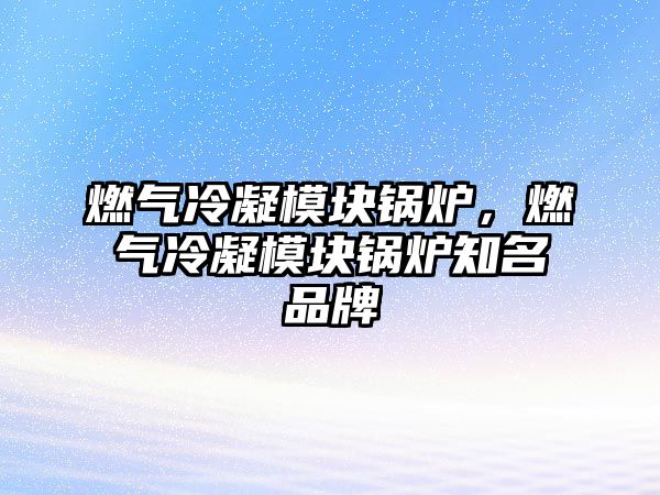 燃?xì)饫淠K鍋爐，燃?xì)饫淠K鍋爐知名品牌