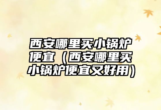 西安哪里買小鍋爐便宜（西安哪里買小鍋爐便宜又好用）