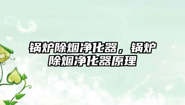 鍋爐除煙凈化器，鍋爐除煙凈化器原理