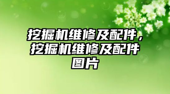 挖掘機(jī)維修及配件，挖掘機(jī)維修及配件圖片
