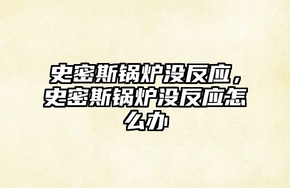 史密斯鍋爐沒反應(yīng)，史密斯鍋爐沒反應(yīng)怎么辦