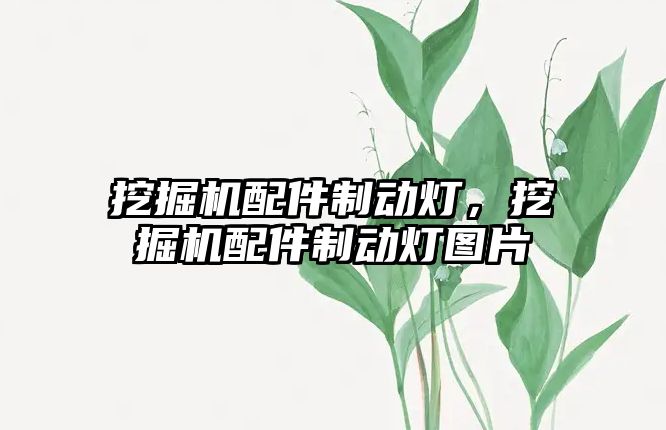 挖掘機(jī)配件制動燈，挖掘機(jī)配件制動燈圖片