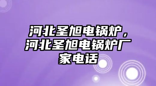 河北圣旭電鍋爐，河北圣旭電鍋爐廠家電話