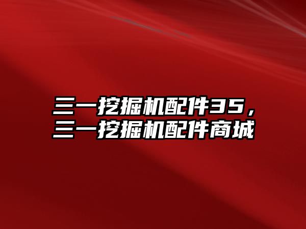 三一挖掘機(jī)配件35，三一挖掘機(jī)配件商城