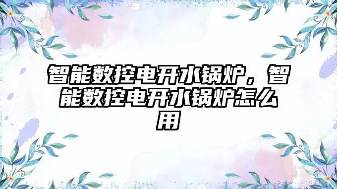 智能數(shù)控電開水鍋爐，智能數(shù)控電開水鍋爐怎么用