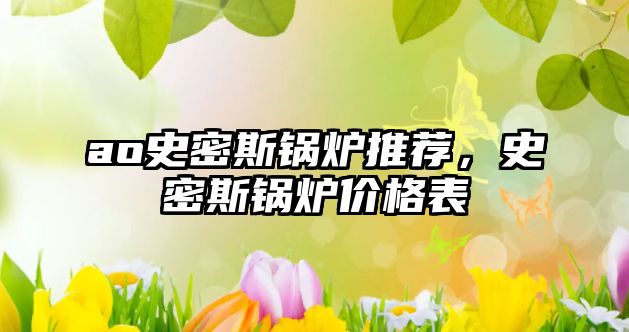 ao史密斯鍋爐推薦，史密斯鍋爐價格表