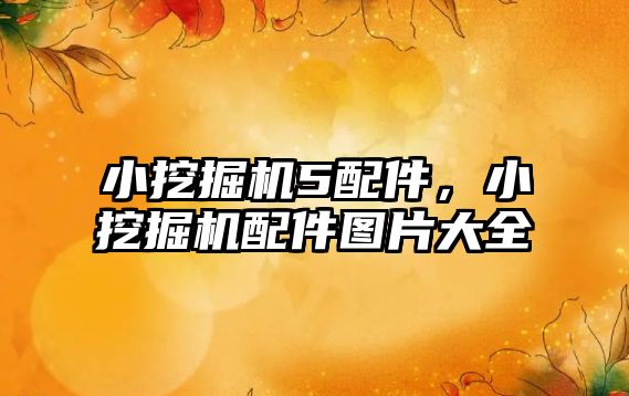 小挖掘機(jī)5配件，小挖掘機(jī)配件圖片大全