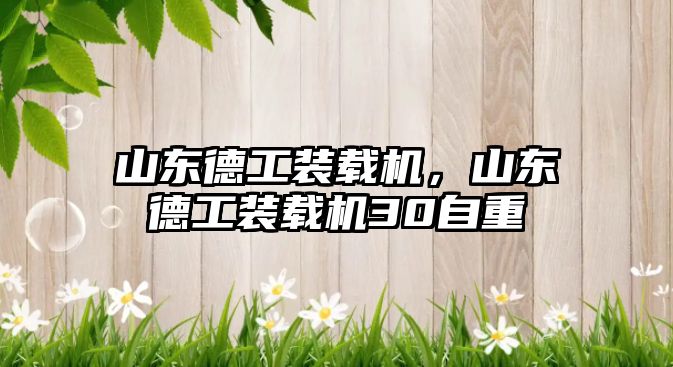 山東德工裝載機，山東德工裝載機30自重