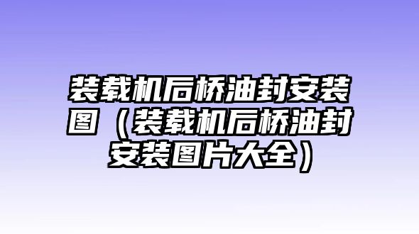 裝載機后橋油封安裝圖（裝載機后橋油封安裝圖片大全）