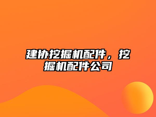 建協(xié)挖掘機(jī)配件，挖掘機(jī)配件公司