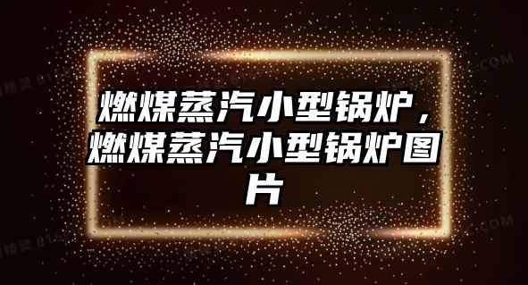 燃煤蒸汽小型鍋爐，燃煤蒸汽小型鍋爐圖片