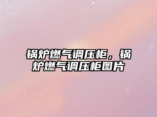 鍋爐燃?xì)庹{(diào)壓柜，鍋爐燃?xì)庹{(diào)壓柜圖片