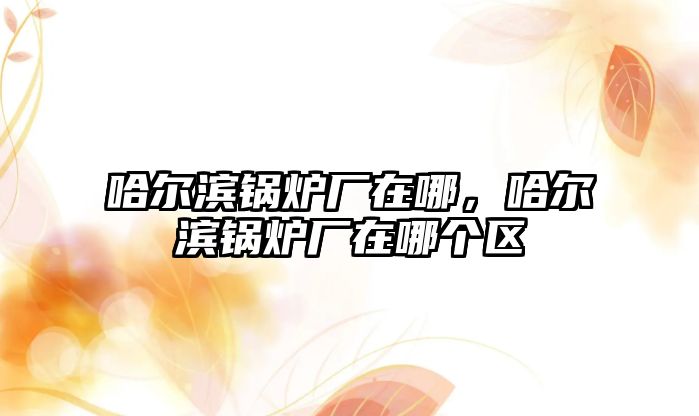 哈爾濱鍋爐廠在哪，哈爾濱鍋爐廠在哪個(gè)區(qū)