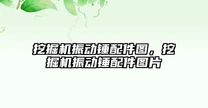 挖掘機(jī)振動(dòng)錘配件圖，挖掘機(jī)振動(dòng)錘配件圖片