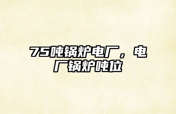 75噸鍋爐電廠，電廠鍋爐噸位