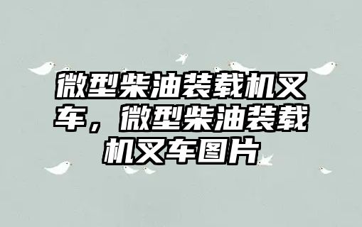 微型柴油裝載機叉車，微型柴油裝載機叉車圖片