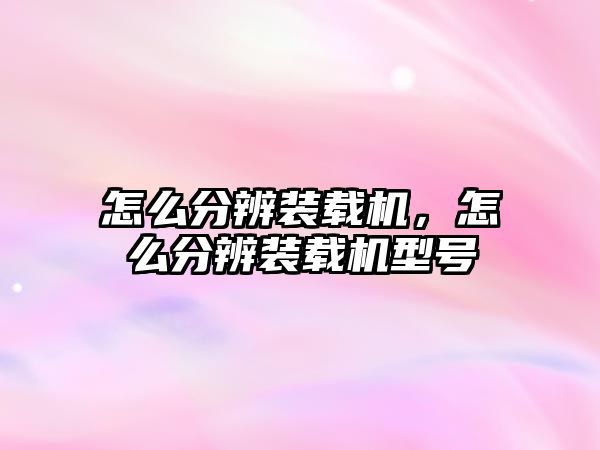 怎么分辨裝載機(jī)，怎么分辨裝載機(jī)型號