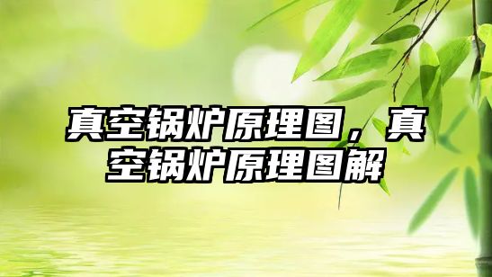 真空鍋爐原理圖，真空鍋爐原理圖解