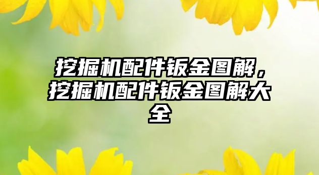 挖掘機(jī)配件鈑金圖解，挖掘機(jī)配件鈑金圖解大全