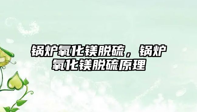 鍋爐氧化鎂脫硫，鍋爐氧化鎂脫硫原理