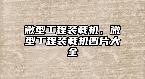 微型工程裝載機，微型工程裝載機圖片大全