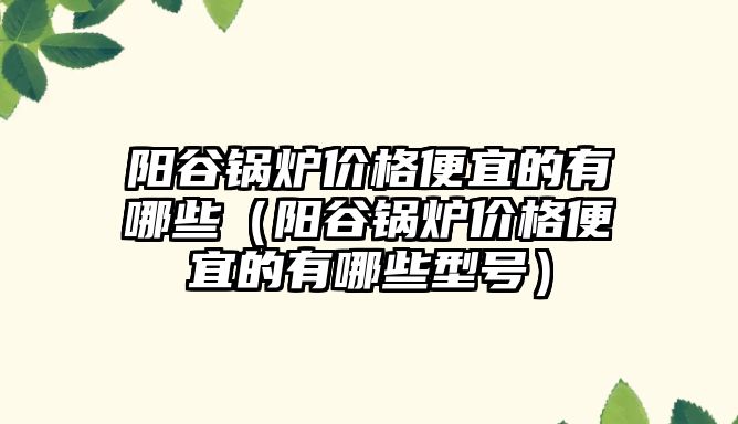 陽谷鍋爐價格便宜的有哪些（陽谷鍋爐價格便宜的有哪些型號）