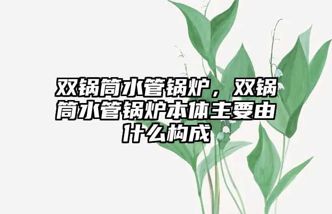 雙鍋筒水管鍋爐，雙鍋筒水管鍋爐本體主要由什么構(gòu)成