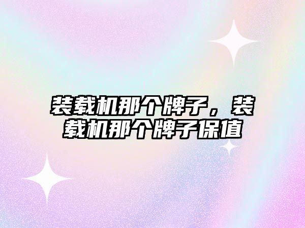 裝載機那個牌子，裝載機那個牌子保值