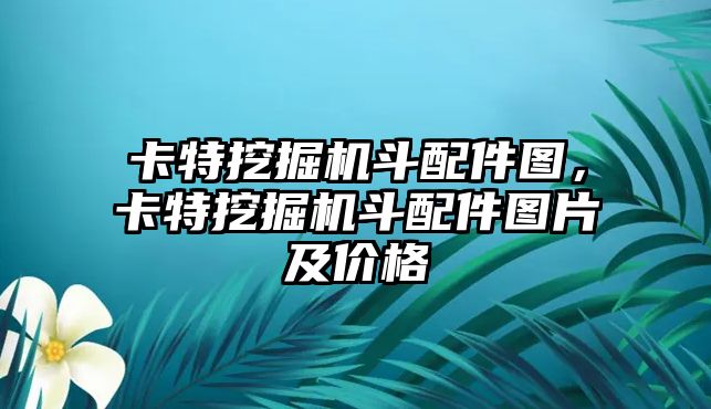 卡特挖掘機(jī)斗配件圖，卡特挖掘機(jī)斗配件圖片及價(jià)格