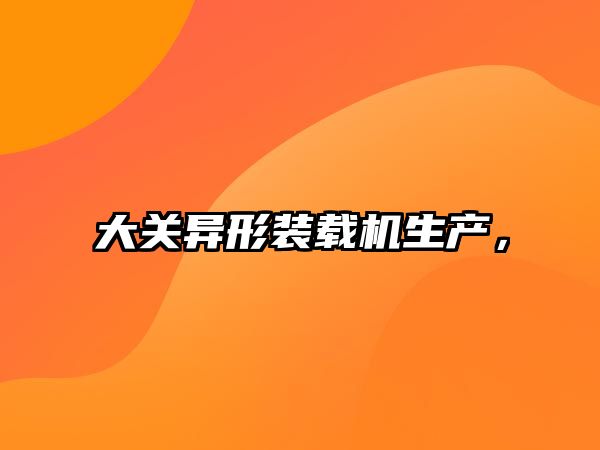 大關(guān)異形裝載機(jī)生產(chǎn)，