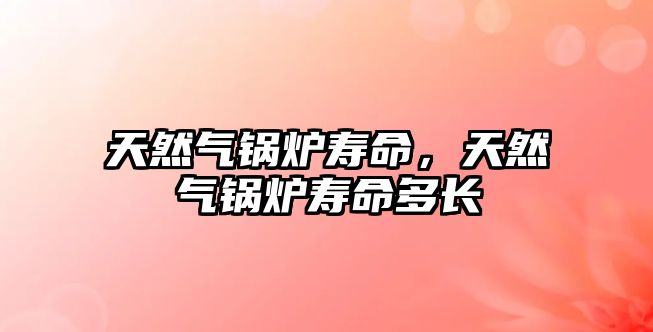 天然氣鍋爐壽命，天然氣鍋爐壽命多長