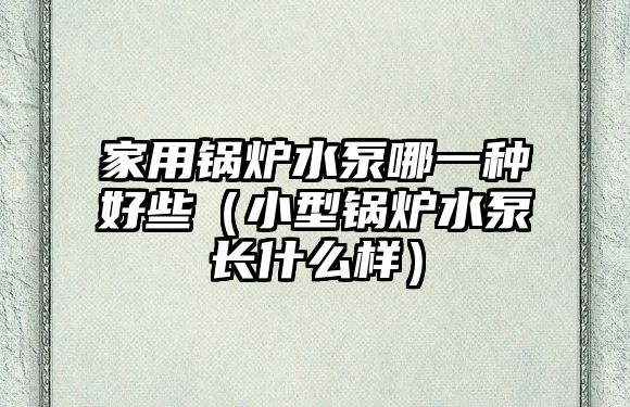 家用鍋爐水泵哪一種好些（小型鍋爐水泵長(zhǎng)什么樣）