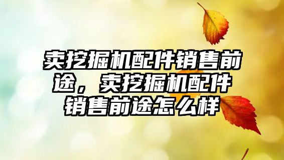 賣挖掘機配件銷售前途，賣挖掘機配件銷售前途怎么樣